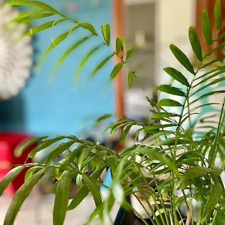 Simons Minutes Away From Balluta Bay And St Julians *