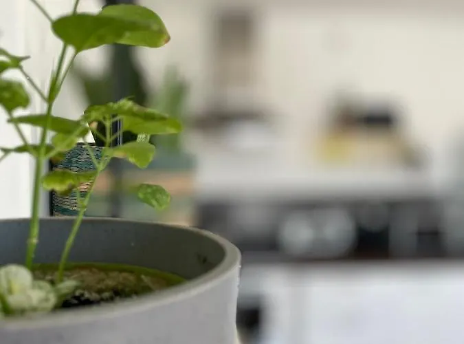 Simons Minutes Away From Balluta Bay And St Julians スリーマ