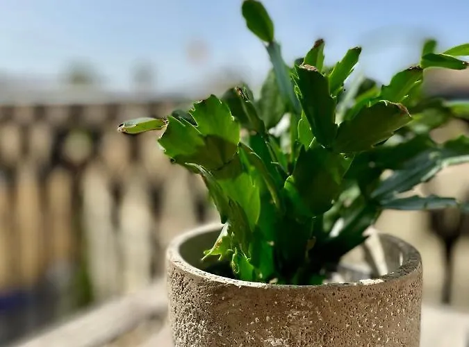 Appartement Simons Minutes Away From Balluta Bay And St Julians *